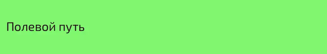 Полевой путь